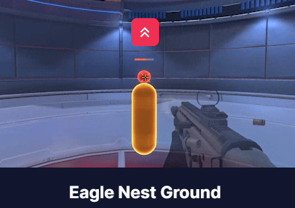 Eagle-nest-ground
