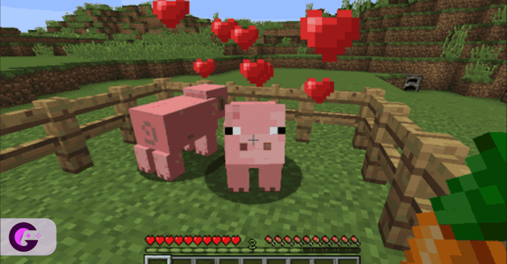 Breed-pig-Minecraft