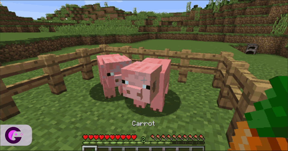 Breed-pig-Minecraft-carrot
