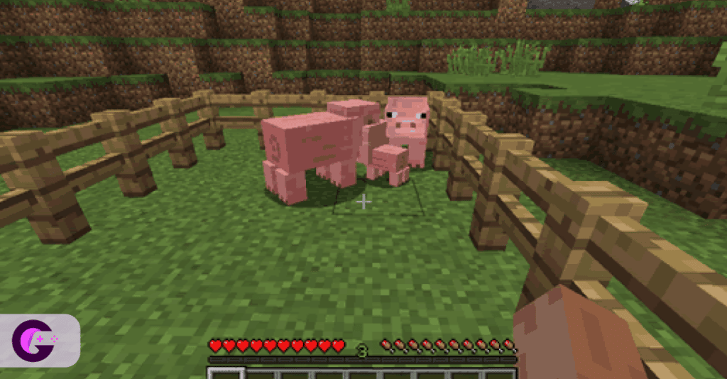 Breed-pig-Minecraft-piglet