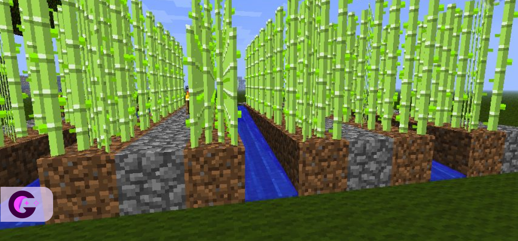 Minecraft-sugarcane