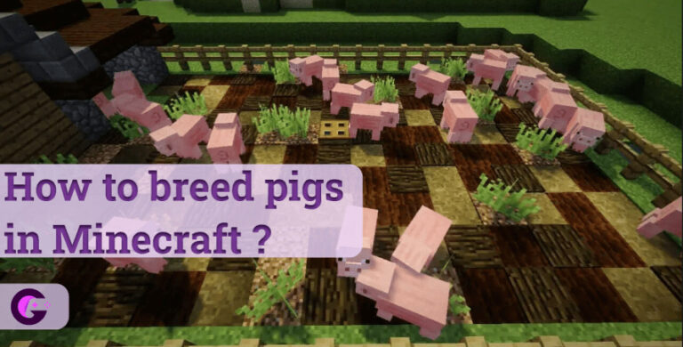 How-to-breed-pigs-in-minecraft
