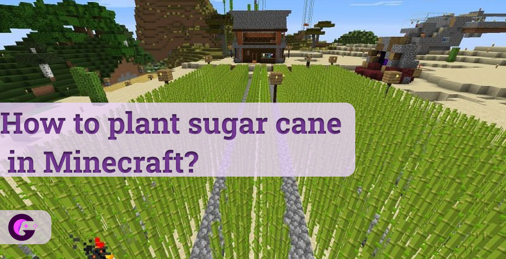 How to plant sugar cane in Minecraft